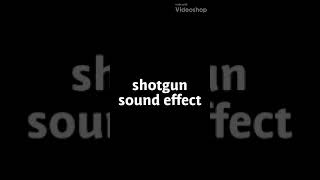 Shotgun sound effect [upl. by Peppy435]