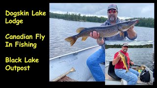 Dogskin Lake Lodge  Black Lake Outpost  Canadian Fly In Fishing [upl. by Hobart]