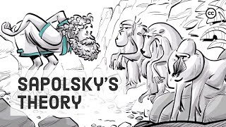 Sapolsky’s Theory of Evolutionary Psychology [upl. by Limay]