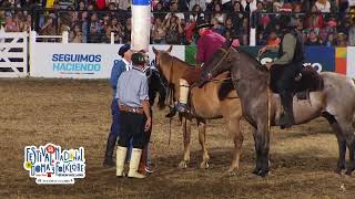 Jineteadas de caballos Festival de Doma y Folklore de Jesús María 2023 noche 7 [upl. by Richmound]