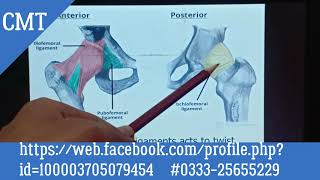 biomechanics of Lower Extremity SUSAN J HALL  URDU  CMT [upl. by Idisahc47]