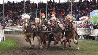 Römerwagenrennen Titanen der Rennbahn Brück 2362018 [upl. by Dnarud]