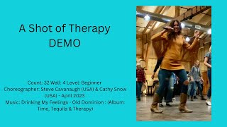 A Shot of TherapyDemo [upl. by Smallman752]