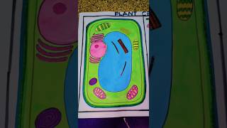 Plant cell ☘️🌵 Biology project project model shorts Science [upl. by Einneb660]