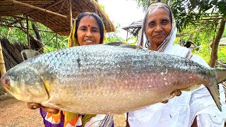 25 kg hilsha fish recipe  Biggest ilish fish cutting amp cooking  কাঁচা ইলিশের পেটির ঝোল  villfood [upl. by Baese874]