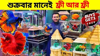 Aquarium Price In Bangladesh🐠Aquarium Fish Price In Bangladesh 😱 Aquarium Fish Price In katabon [upl. by Donegan]