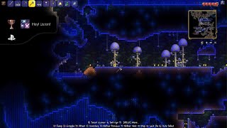 Terraria  Hey Listen Trophy [upl. by Mylor]