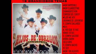 LOS HIJOS DE OBREGON EL CORRIDO DEL COMPA NACHO [upl. by Theodore]