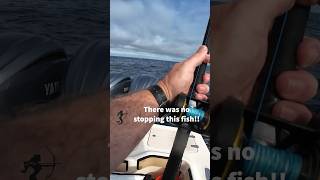 Getting Spooled by a Yellowtail With FinsNSpines fishing fishinglife yellowtail kingfish [upl. by Launamme173]