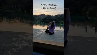 kapotasana pigeonpose asanasyoga asanaeveryday asanaseries practiceasanaseverydayyogaeveryday [upl. by Nagey]