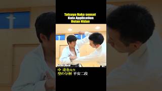 The application of Kata quotHeian Nidanquot Tatsuya Naka sensei karate karatedo kata [upl. by Eeltrebor]