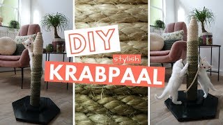 DIY KRABPAAL  Zo maak je zelf een krabpaal voor in een stylish interieur [upl. by Consalve]