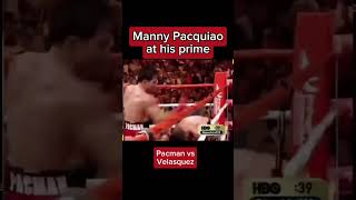 Pacquiao at his prime boxing [upl. by Enyawed]