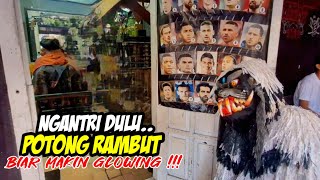 GERANDONG IBIN MAU CUKUR RAMBUT KE SALON❗️❗️KUDA LUMPING MUTIYARA SURYA PUTRA 💥 LEMBUR KURING [upl. by Elmo]