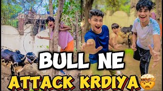 Bull ne attack krdiyaa🤯😬 uncle se smbhla nhi gya [upl. by Aihsemak]