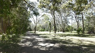 Walking tour Gold Coast Australia [upl. by Tannie]