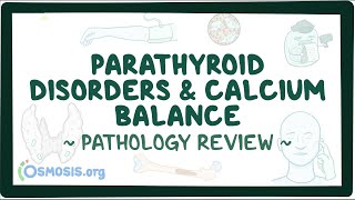 Parathyroid disorders and calcium balance Pathology Review [upl. by Harlow18]