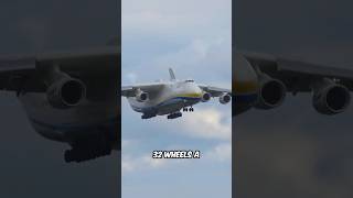 This is the Biggest Cargo PlaneAntonov An225 [upl. by Yelyr]