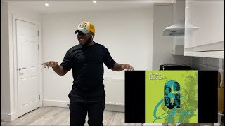 The Lowkeys Shizo  Gugu ft Swartspeare  AMAPIANO REACTION [upl. by Yllatan]