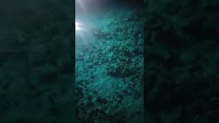 Pelabuhan Tagulandang Di Malam HariAirnya Jernih Mantap Kereenn shorts shortvideo tagulandang [upl. by Hilly786]