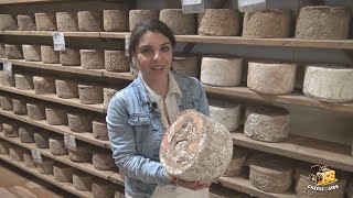 Arianna Amoroso che ci conduce alla scoperta di un formaggio storico il Castelmagno PARTE I [upl. by Sina]