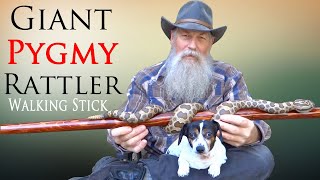 Carving a Massasauga Rattlesnake Walking Stick [upl. by Yelwar]