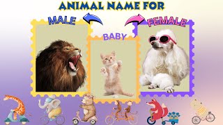 Special animals names for Female Male and Baby that you MUST know [upl. by Urbain401]