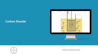 Bayer Bioreactor eLearning Course [upl. by Eiffe]