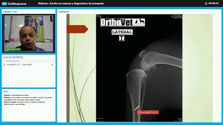 Grabación de webinar — Artritis en caninos y diagnóstico de artropatía — Mascolab amp Orthovet [upl. by Reviel]