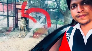 Nehru Zoological Park  Hyderabad Zoo Vlog  AmairShorts [upl. by Koenraad]