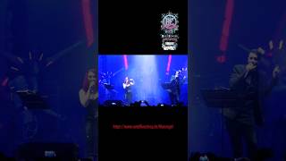 Blutengel live 2024 blutengel chrispohl music live shorts [upl. by Riannon]