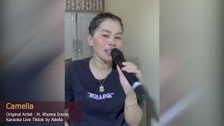 Camelia  Adelia  Live Tiktok 08 04 2024 [upl. by Nylorac]