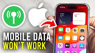 How To Fix Mobile Data Not Working On iPhone  Full Guide [upl. by Yalcrab]