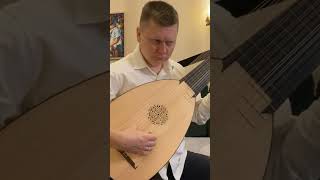 SLWeiss allemande d minor  Aleksei Kanaykin 13 courses baroque lute [upl. by Sivraj]