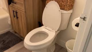 WOODBRIDGE One Piece Toilet with Soft Closing Seat Review Modern Toilet White Ceramic [upl. by Yliab]