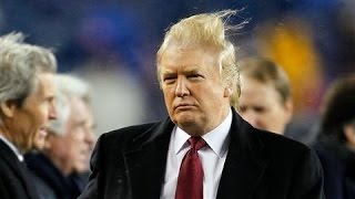 Donald Trump Presidential Hair Apparent [upl. by Bay190]