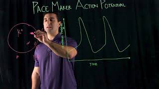 Pace Maker Action Potential [upl. by Dina]