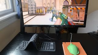 CSGO But With The WORST SETUP Possible [upl. by Teleya297]