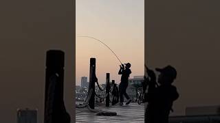 Snag Fishing Precision timing and power equals Fish on shorts fishing fish fishinglife [upl. by Adialeda]