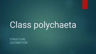 Class Polychaeta  Phylum Annelida  Lecture 1 [upl. by Calendra]