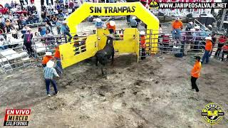 JARIPEO SIN TRAMPAS desde merced california [upl. by Eneg]