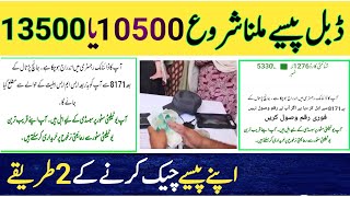 8171 Bisp Ehsaas program 2024  13500 Check Karne Ka Tarika  EasyPaisa jazzcash 10500  Dynamic [upl. by Pierrepont]