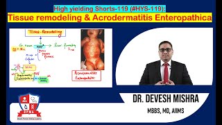 🕉 HYS119 Tissue remodelling amp Acrodermatitis Enteropathica by Dr Devesh Mishra [upl. by Adnara]