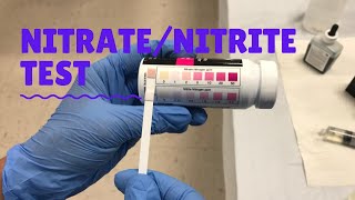 NitrateNitrite Test [upl. by Orapma72]