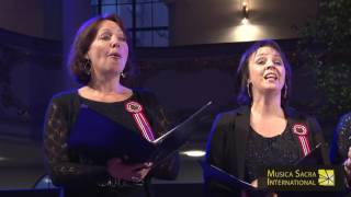 ‪Nordic Voices Norwegen Solbøn MUSICA SACRA INTERNATIONAL 2016‬ [upl. by Nelrah]