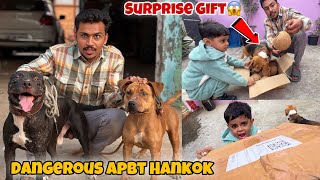 Mini Zoo Ke Liye Surprise Gift Aagya😱 Apbt Hankok Ko Khabisi Se Milaya [upl. by Aissirac482]