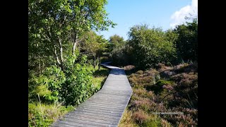 Urlaubs Paradies AmrumMeine Wanderung zum Kniepsand über den Yachthafen und Wriakhörnsee HD 720p [upl. by Tterrag]