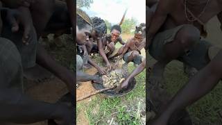 Wow 😮😋 Unbelievable see how Hadzabe eats together It’s amazing and lovely hadzabetribe food [upl. by Ennayr]