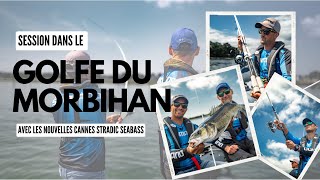 STRADIC SEABASS  TEST des cannes dans le GOLFE DU MORBIHAN [upl. by Portingale]