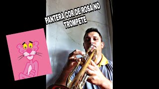 the pink panther  patera cor de rosa no trompete [upl. by Sucul]